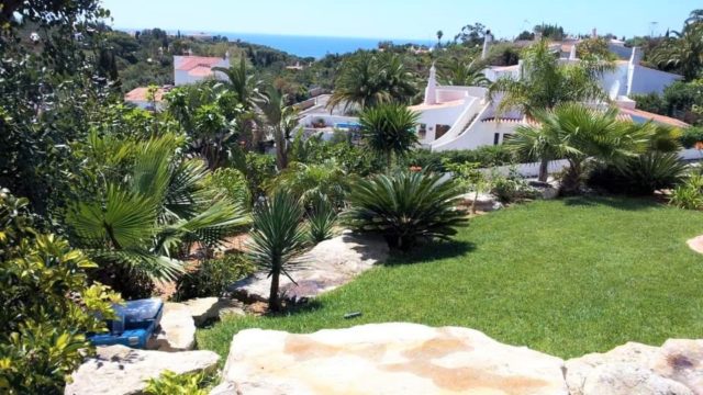 https://www.vitalgardens.com/wp-content/uploads/2020/01/Vital-Gardens-Creation-640x360.jpg