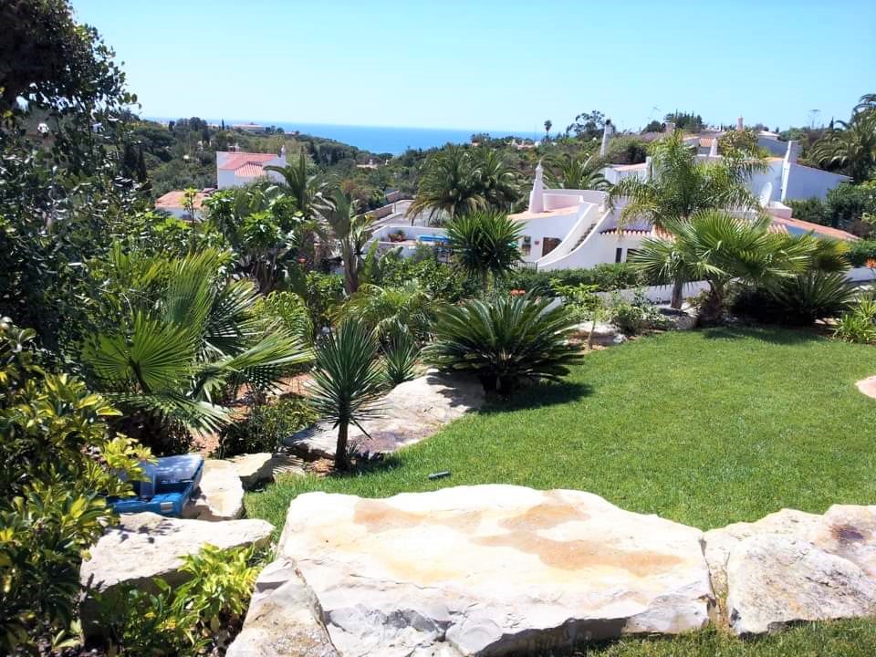 https://www.vitalgardens.com/wp-content/uploads/2020/01/Vital-Gardens-Creation.jpg