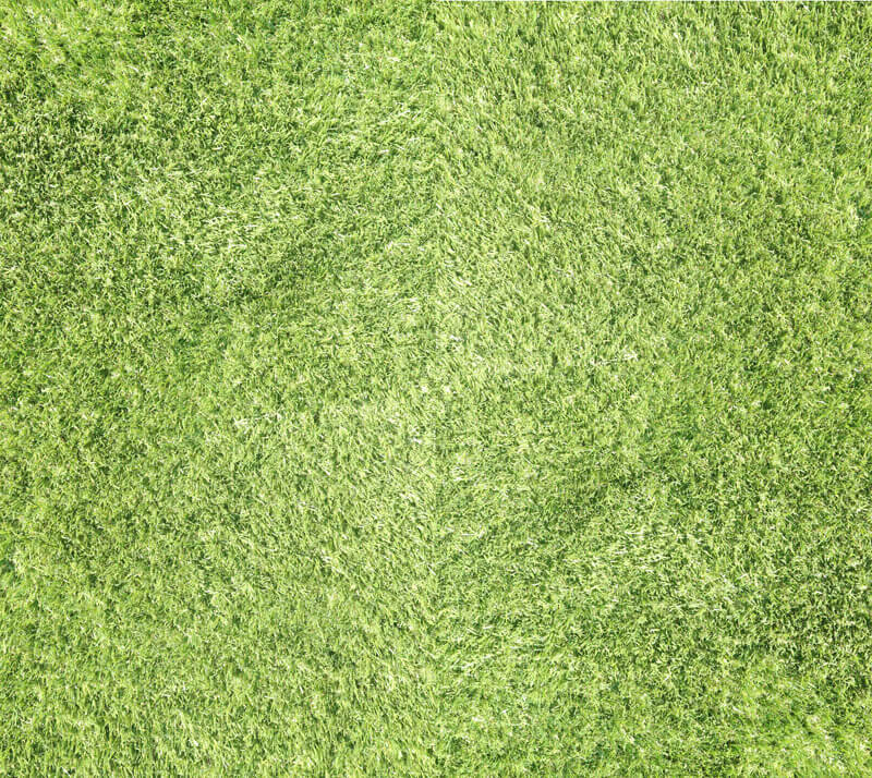 Services-Artifical-lawns