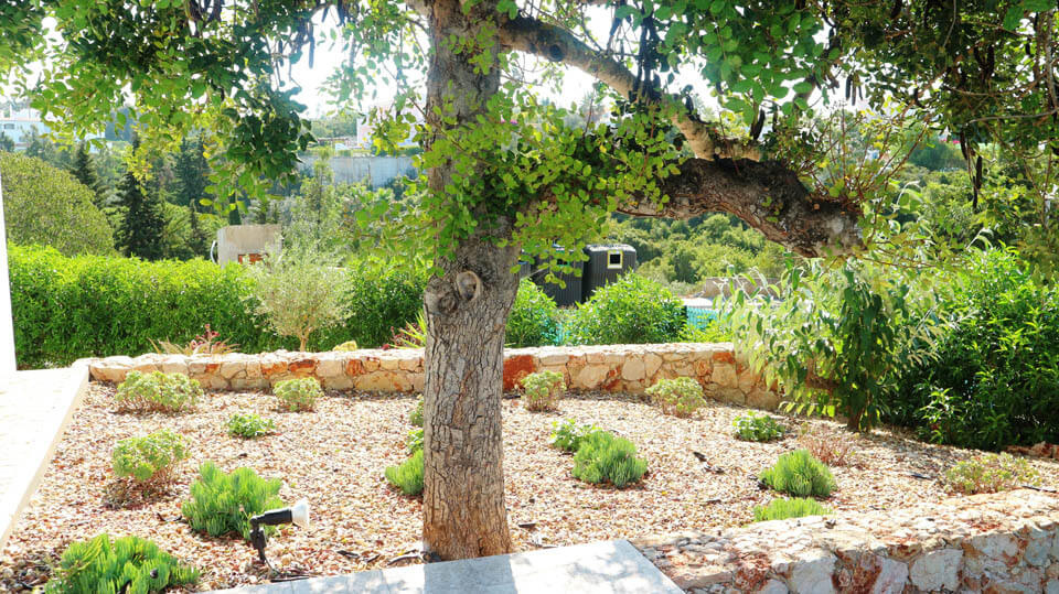Succulent Garden on the Stone Terraces 05