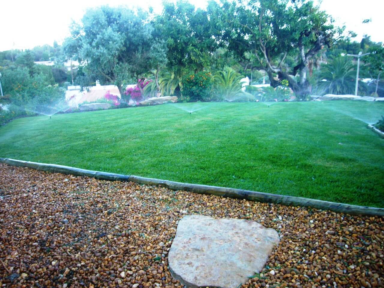 from jungle to Mediterranean garden 09