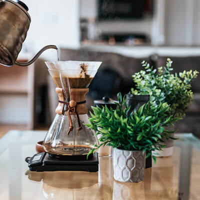 Indoor-plants-04