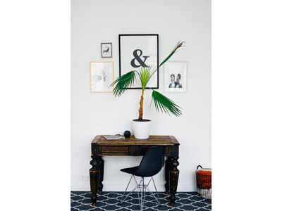 Indoor-plants-10