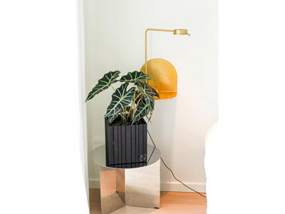 Indoor-plants-20