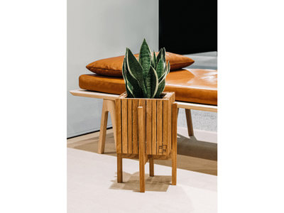 Indoor-plants-30