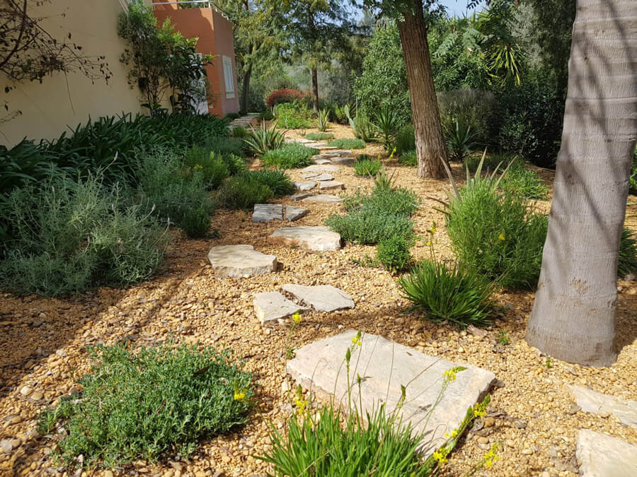 Landscaping Ideas