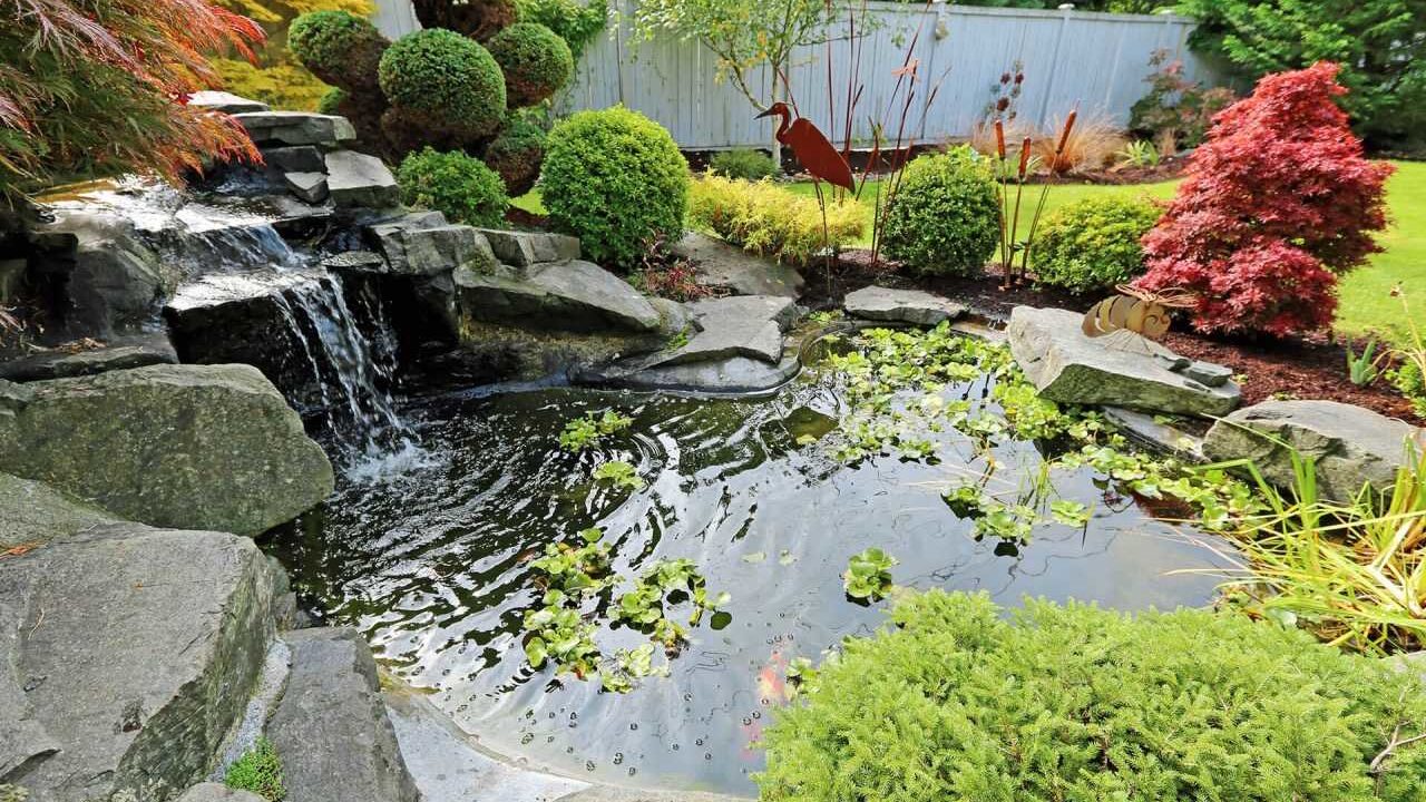 https://www.vitalgardens.com/wp-content/uploads/2020/06/Garden-pond-1280x720.jpeg