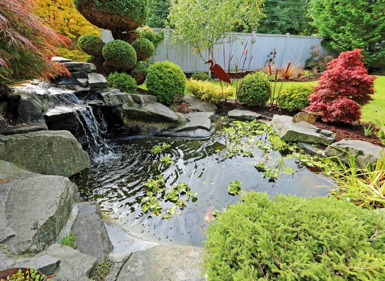 https://www.vitalgardens.com/wp-content/uploads/2020/06/Garden-pond.jpeg