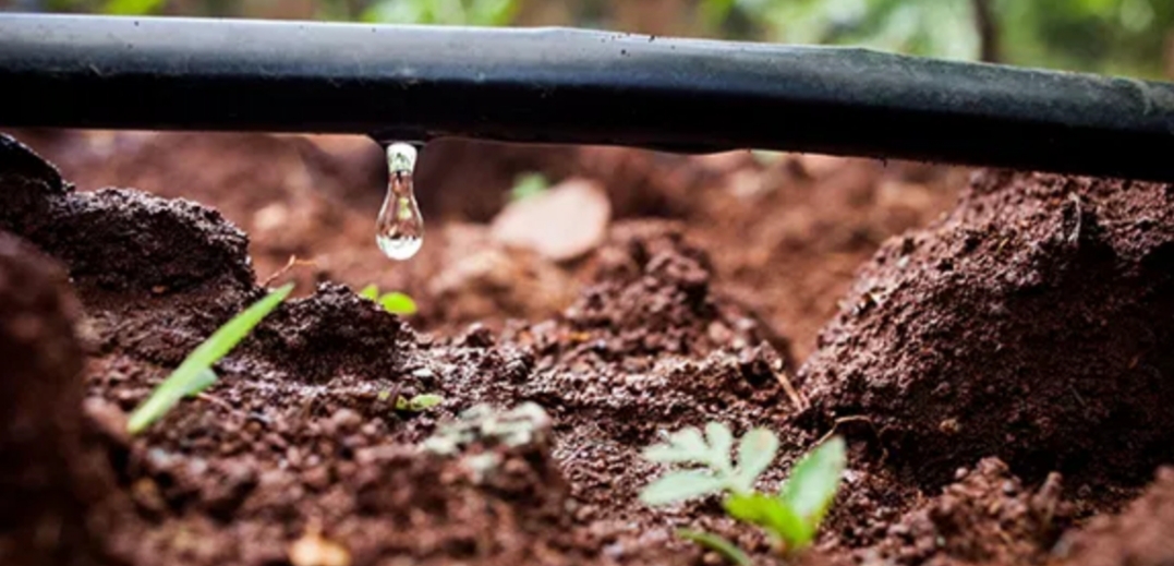 Gardening helps environment