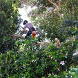 Gardening helps environment