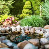 Garden helps environment
