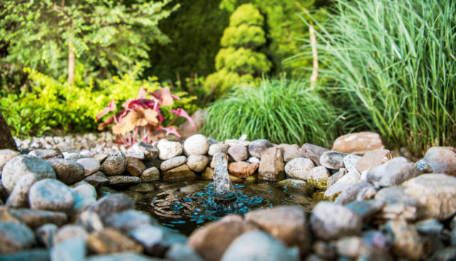 Garden helps environment