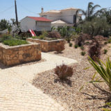 Gardening helps environment